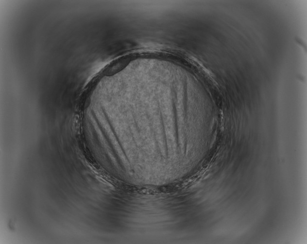 X0000091291208200708311310