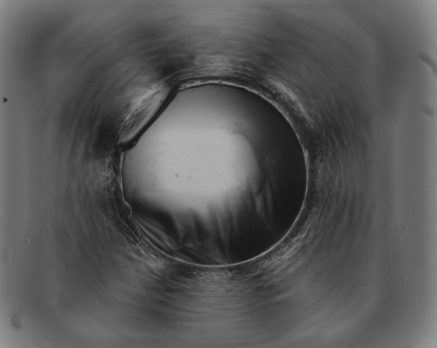 X0000091291210200708311310