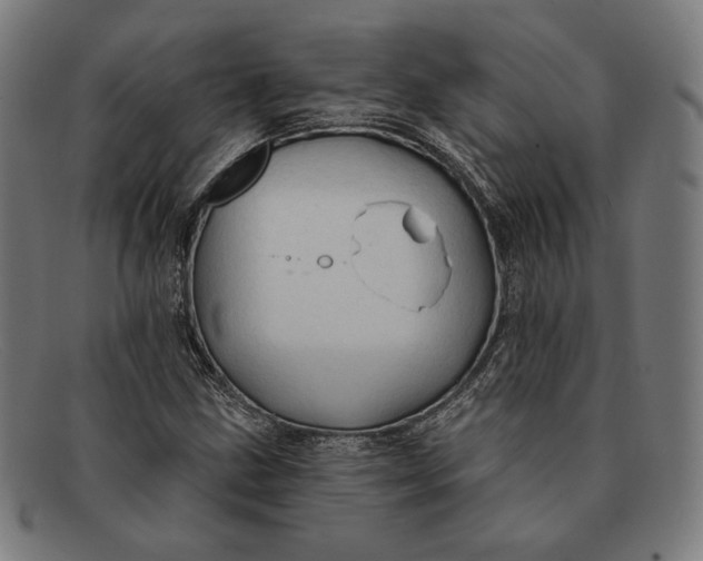 X0000091291211200708311310