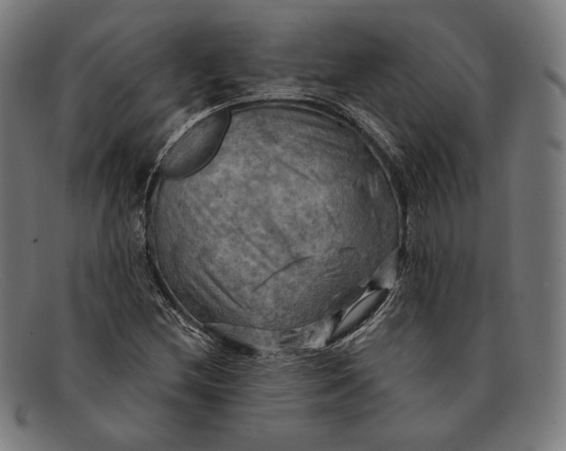 X0000091291212200708311310