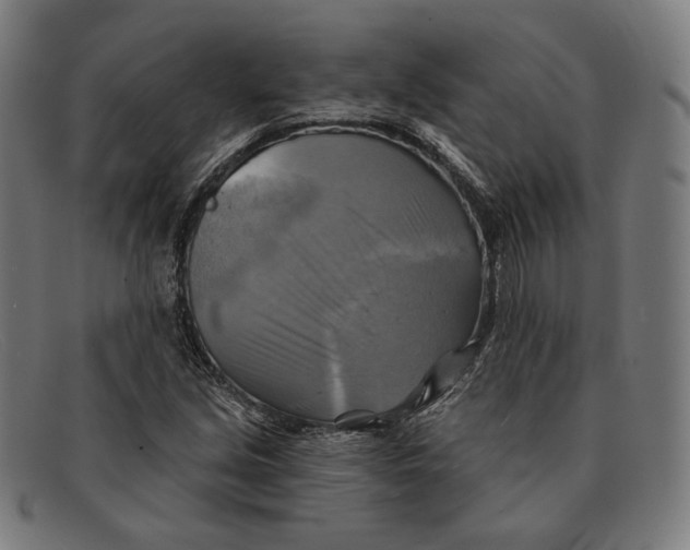 X0000091291213200708311310