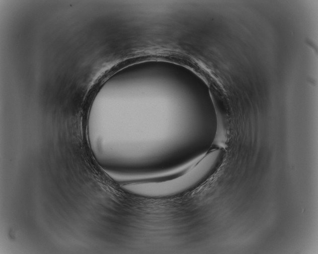 X0000091291214200708311310