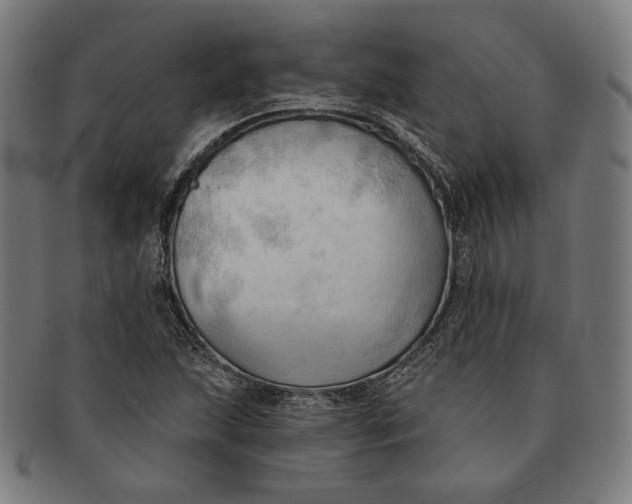 X0000091291215200708311310