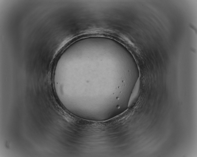 X0000091291216200708311310