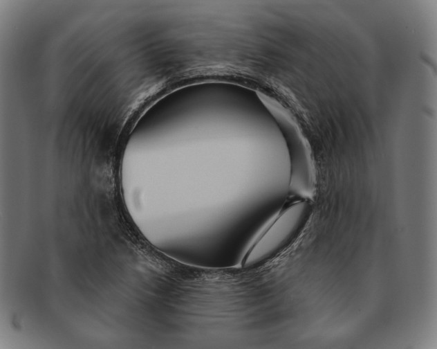 X0000091291218200708311310