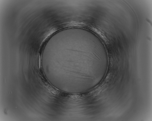 X0000091291219200708311310