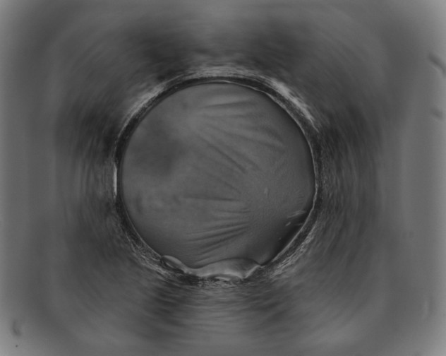 X0000091291221200708311310