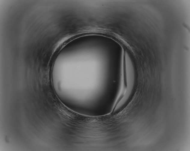 X0000091291222200708311310