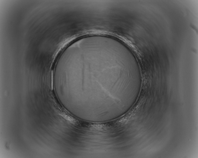 X0000091291223200708311310