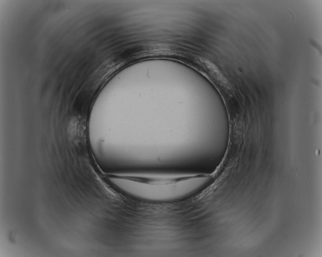 X0000091291225200708311310