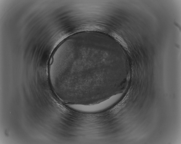 X0000091291226200708311310