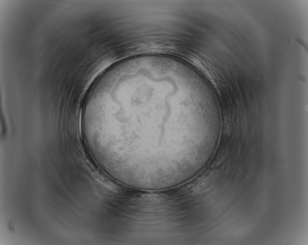 X0000091291227200708311310