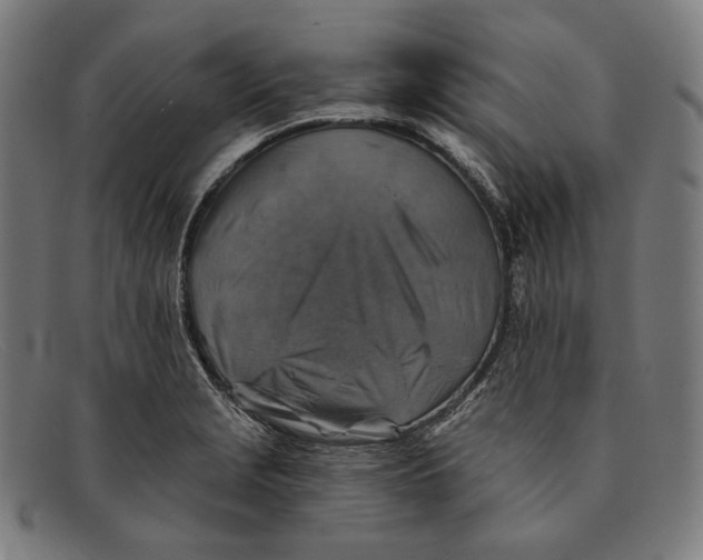 X0000091291229200708311310