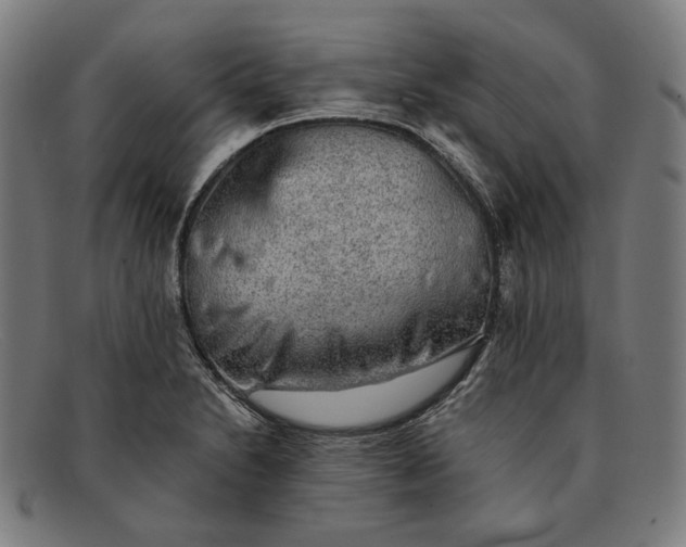 X0000091291230200708311310