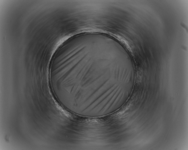 X0000091291231200708311310