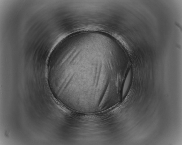 X0000091291232200708311310