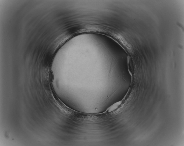 X0000091291233200708311310