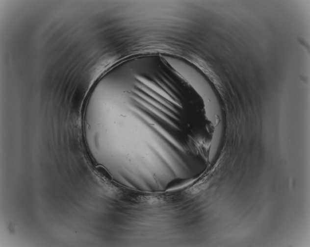 X0000091291234200708311310