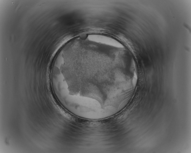 X0000091291235200708311310