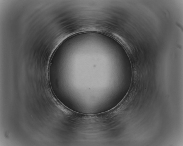 X0000091291236200708311310