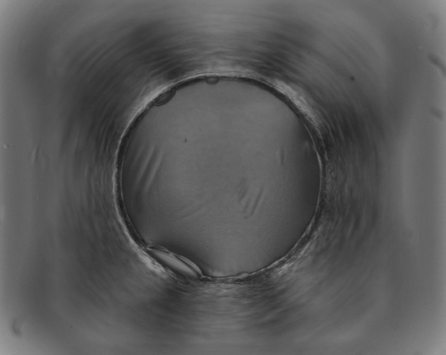 X0000091291237200708311310