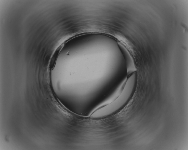 X0000091291238200708311310