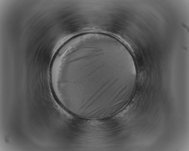 X0000091291239200708311310