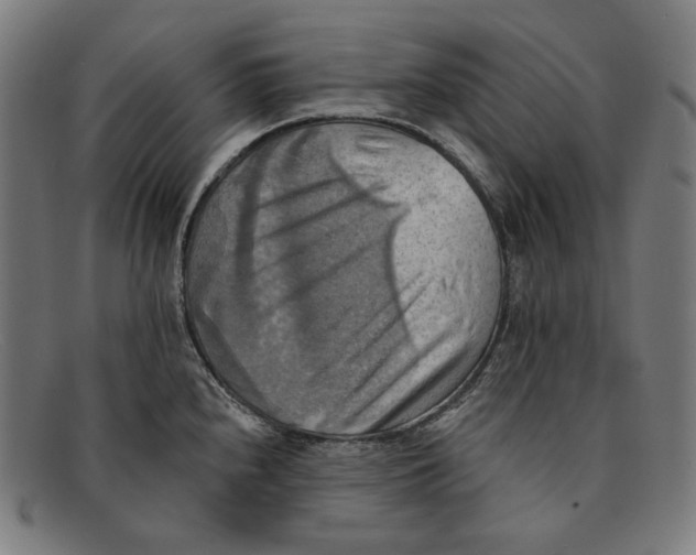 X0000091291240200708311310