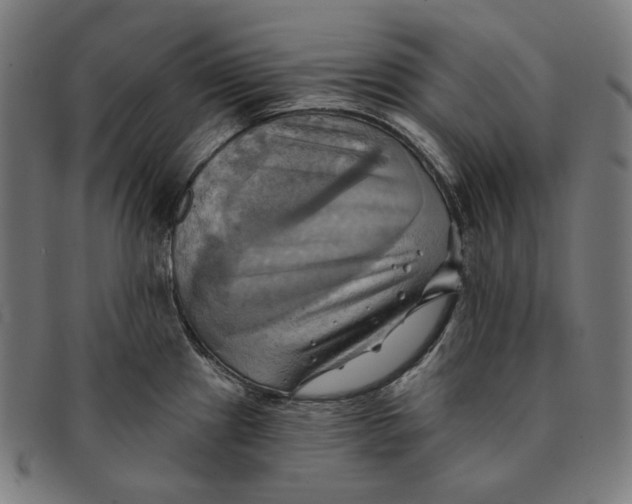 X0000091291241200708311310