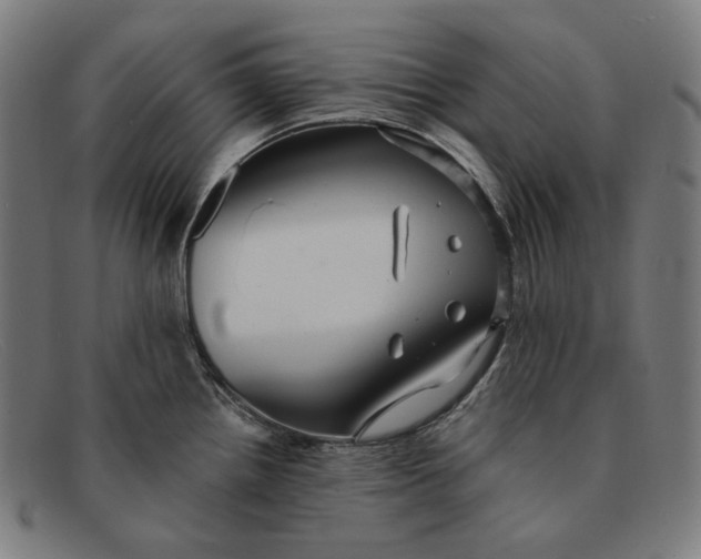 X0000091291242200708311310