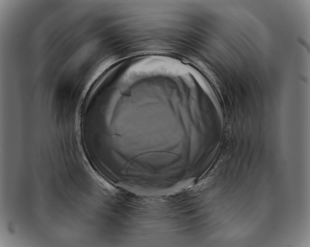 X0000091291243200708311310