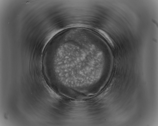 X0000091291244200708311310