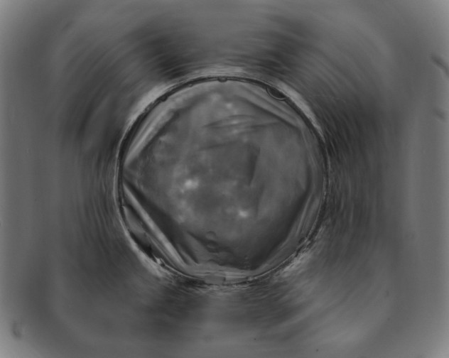 X0000091291245200708311310