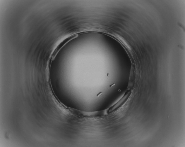 X0000091291246200708311310