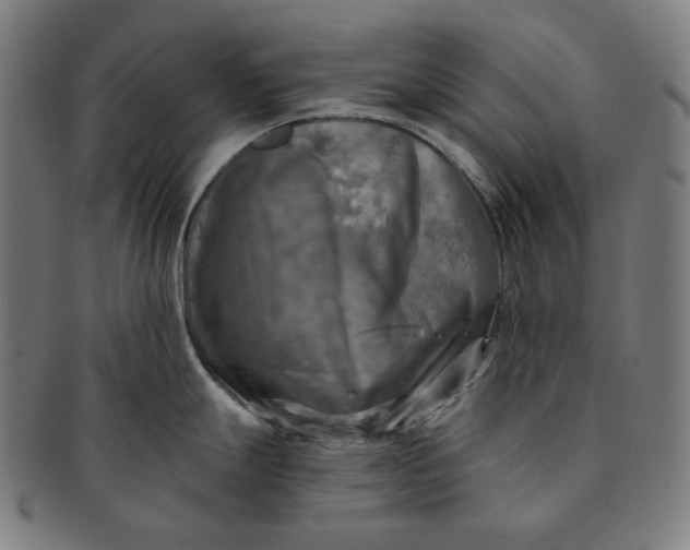 X0000091291247200708311310