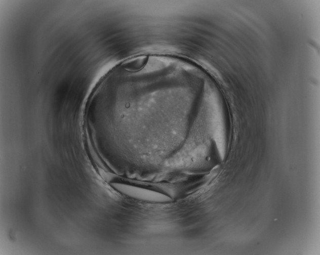 X0000091291248200708311310