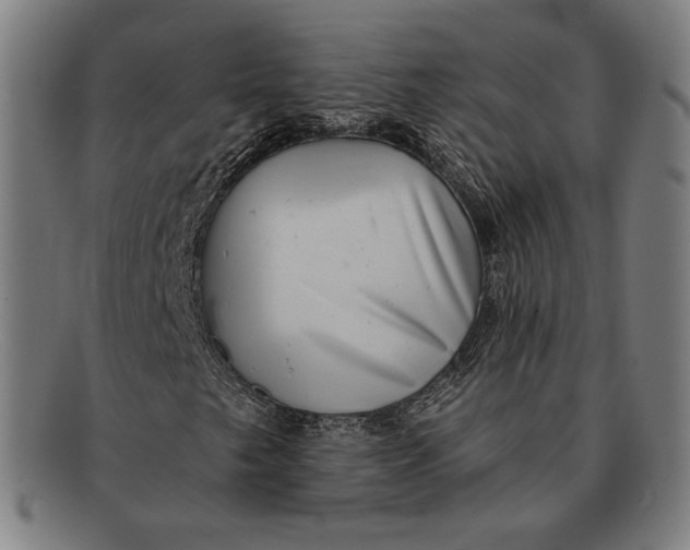 X0000091291249200708311310