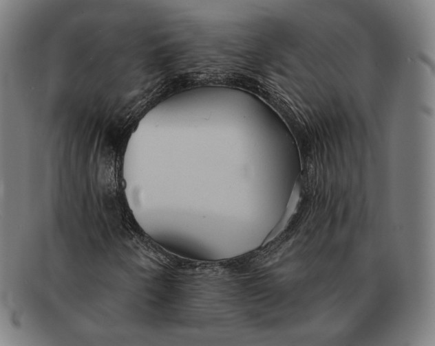 X0000091291250200708311310