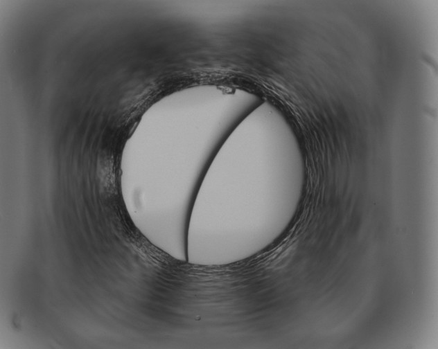 X0000091291252200708311310