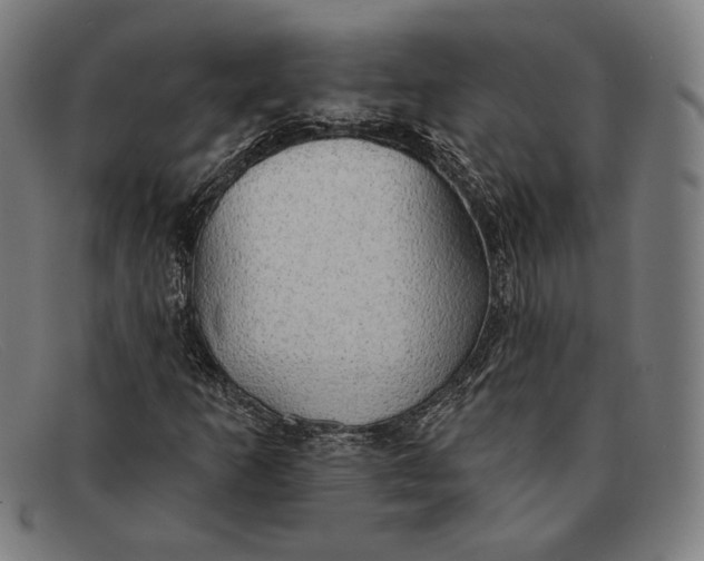 X0000091291253200708311310