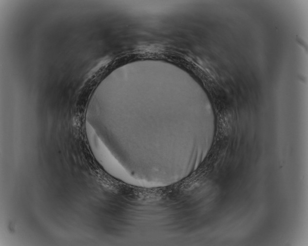 X0000091291254200708311310