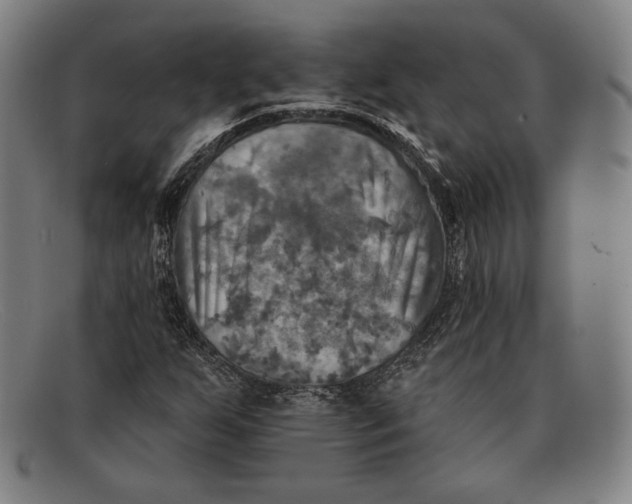 X0000091291255200708311310