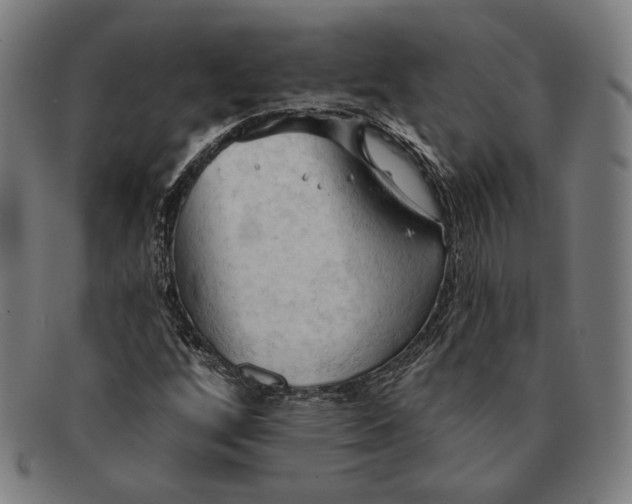 X0000091291256200708311310