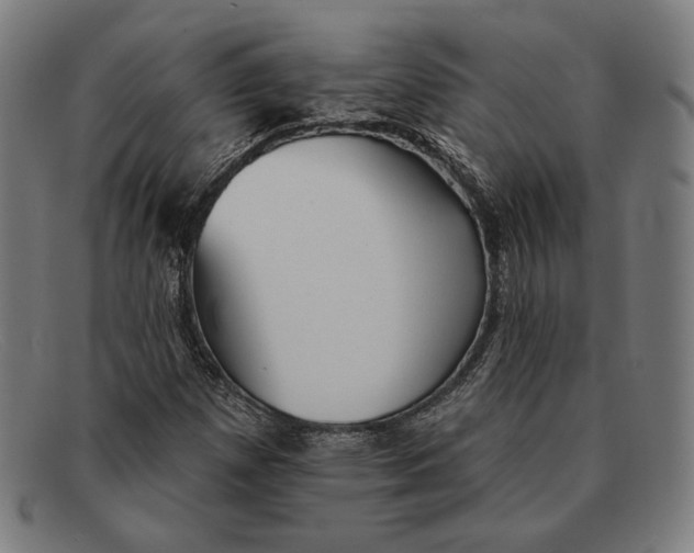 X0000091291257200708311310