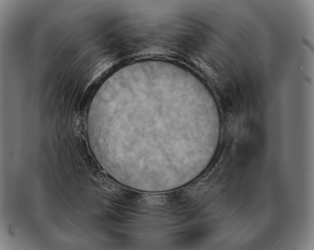 X0000091291258200708311310