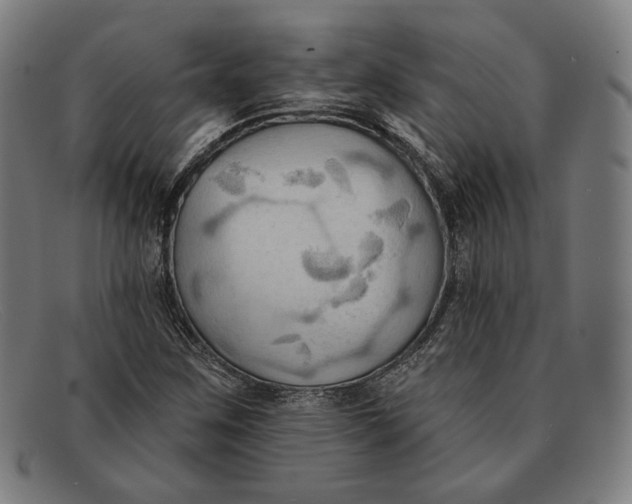 X0000091291259200708311310