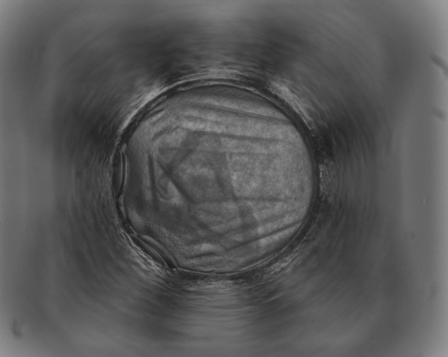 X0000091291260200708311310