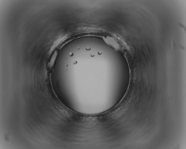 X0000091291261200708311310