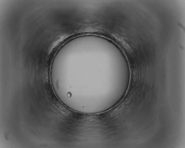 X0000091291262200708311310