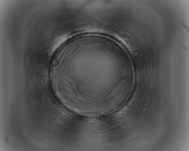 X0000091291263200708311310